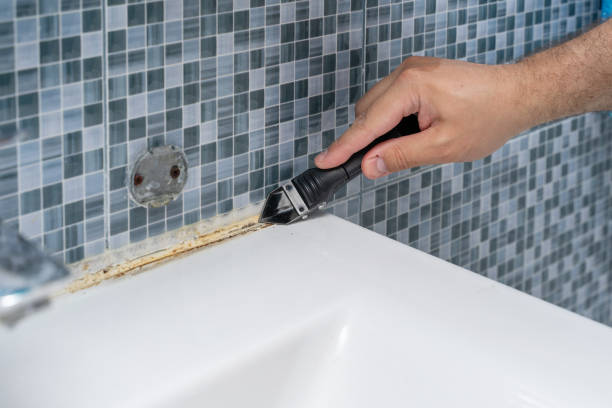 Best Mold Remediation  in Yale, OK